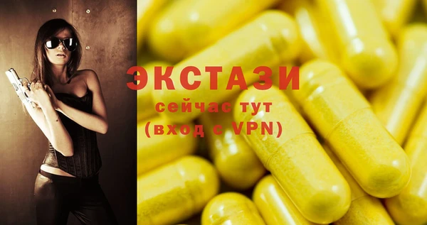 гашик Елизово