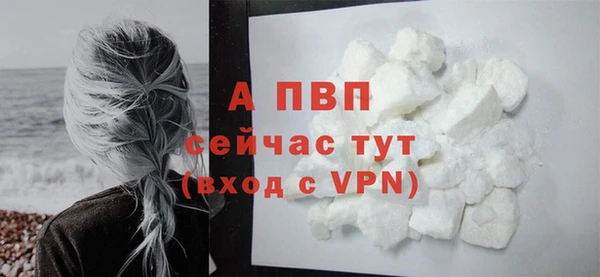 гашик Елизово