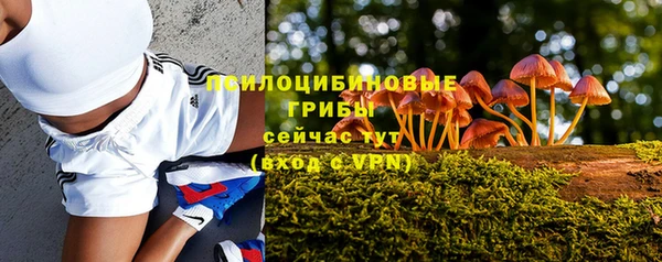 мескалин Елабуга