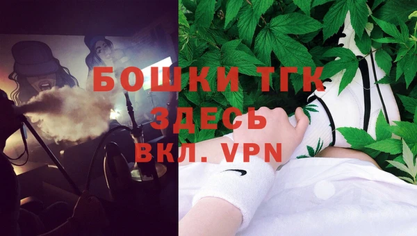 гашик Елизово