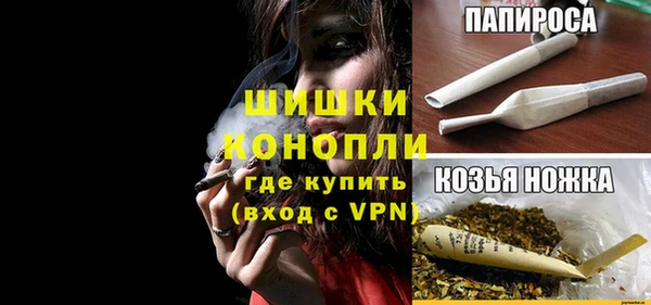 гашик Елизово