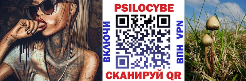 Купить закладки  Бабаево  Галлюциногенные грибы мицелий 
