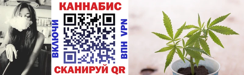 Купить закладки  Бабаево  Бошки марихуана семена 